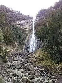 新型コロナウイルスの影響。