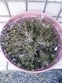 暖かい日。