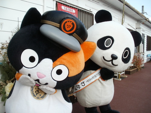 和歌山へ。