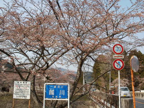 うぐい川。