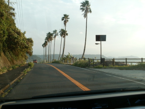 佐多岬。