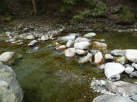 渓流は冷たく寒かった