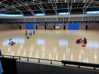 ニュースポーツ大会