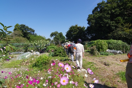 神郷亀塚古墳の周辺