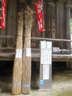 ヨシの姿