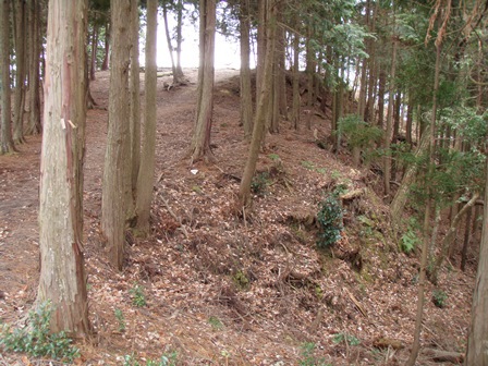 東近江の文化財だより:雪野山古墳（2）