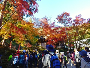 11月23日　「東近江トレイル　箕作山コース」が開催されました。