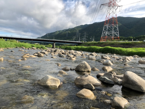 愛知川漁協ブログ ６月１７日 水 鮎の毛鉤釣り