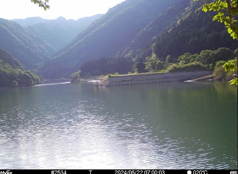 ５月２２日　川のようす