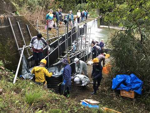 ５月２８日　大堰堤を上ったビワマスがつないだ稚魚