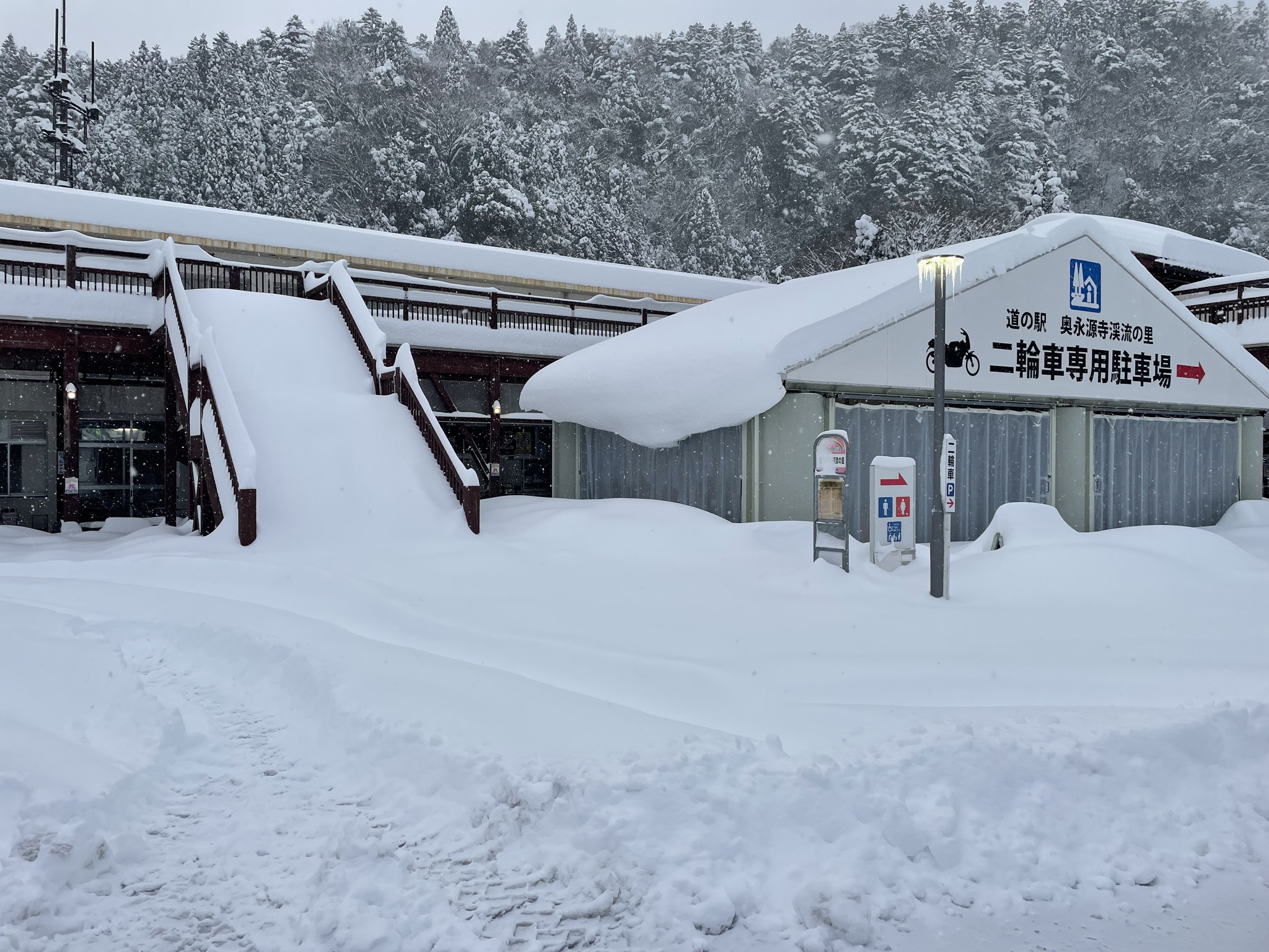 数年ぶりの大雪です。