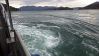 しまなみ海道報告、第2弾！