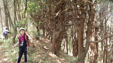 二日続けて、清掃登山！