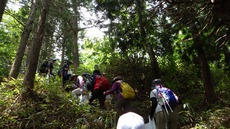 二日続けて、清掃登山！