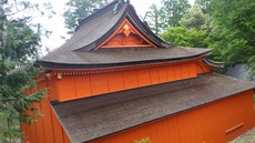 二日続けて、清掃登山！
