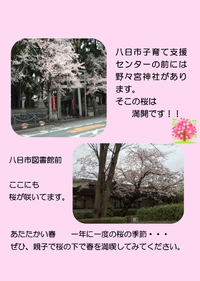 桜３