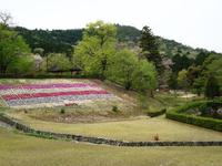 ｙ雨季の山