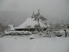 雪の美山かやぶきの里