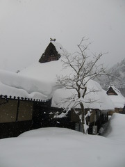 雪の美山かやぶきの里