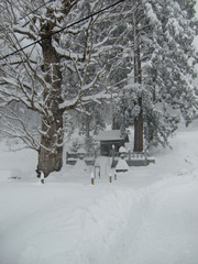 雪の美山かやぶきの里