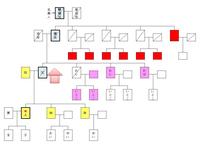 相続で、家がひいおじいちゃんの名義だった場合～数次相続～