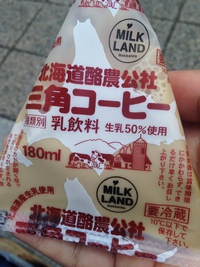 三角パック その2