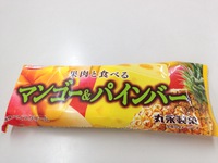 丸永製菓 果肉と食べるマンゴー&パインバー