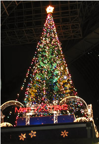 Ｐｈｏｔｏ　クリスマスツリー