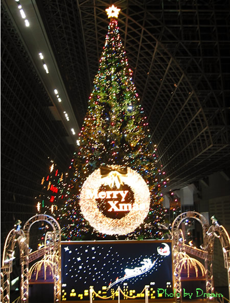 Ｐｈｏｔｏ　クリスマスツリー