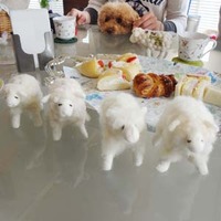 冬と春のはざま