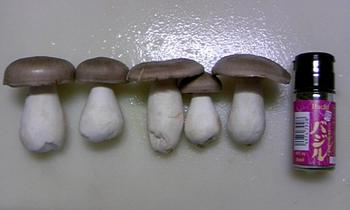 本しめじと手作り納豆