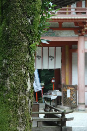 結婚式パック