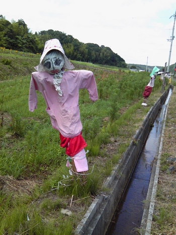 休日の発見