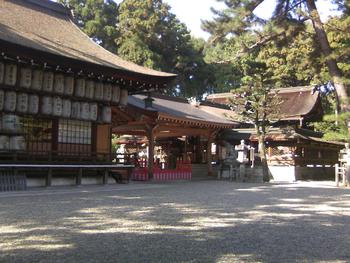 神社で七五三撮影