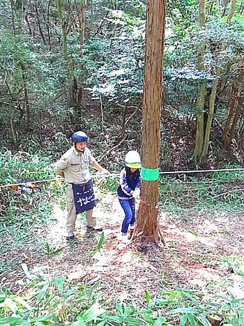 「やまのこ」な日々