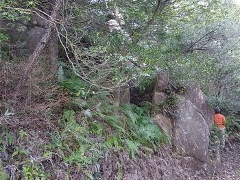あけまして花緑フォレスターズ（第６回）