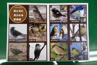 作成の日々