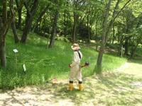 THE　SUMMER WORK