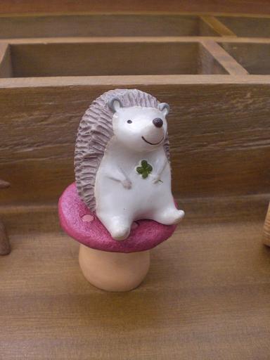 ほんわか。。。アニマル入荷～♪