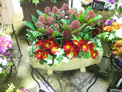 寄せ植えコーナードンドン展開中ー
