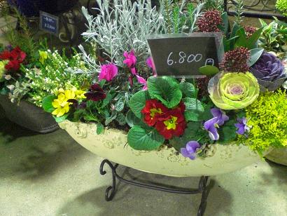 寄せ植えコーナードンドン展開中ー