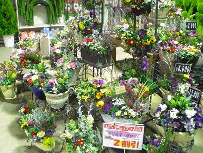 寄せ植えコーナードンドン展開中ー