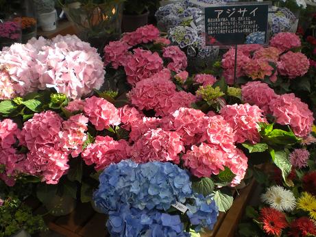 昨日は仕入れでした。　最新入荷情報！