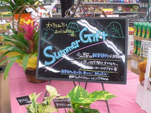 Summer★Gift!!