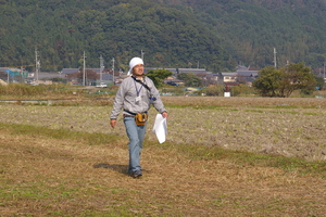 客席は野菜のコンテナー
