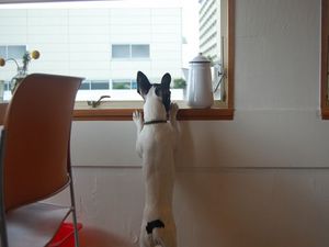 クランクちゃん