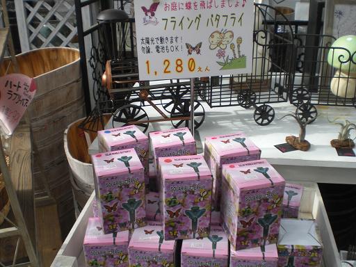 ちょうちょ