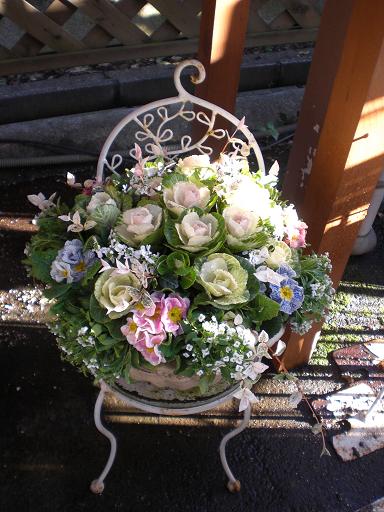 はぼじゅり？？寄せ植え