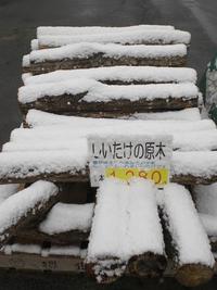 雪。。。やね～