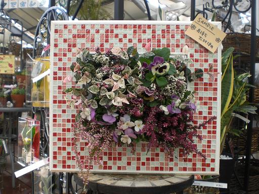 額縁寄せ植え。。。
